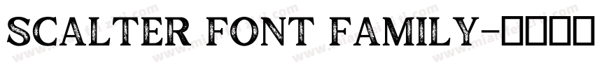 Scalter Font Family字体转换